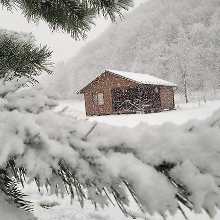 فيلا Оберіг شيشوري المظهر الخارجي الصورة